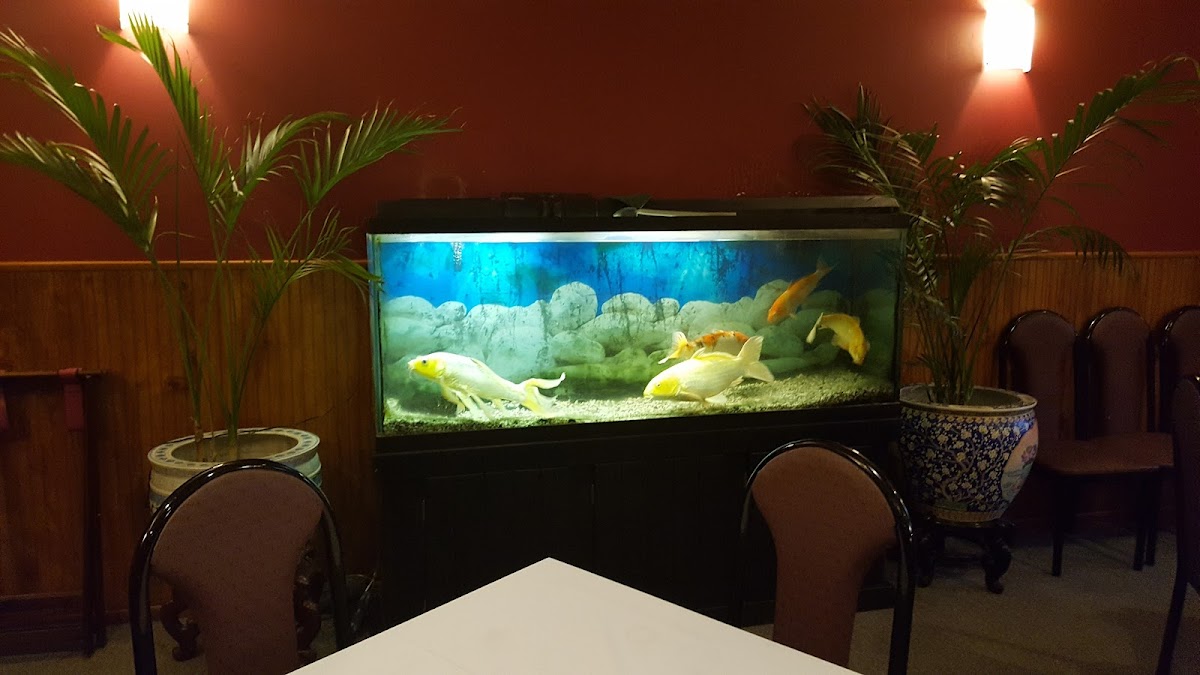 Peking Toms River Photos 2